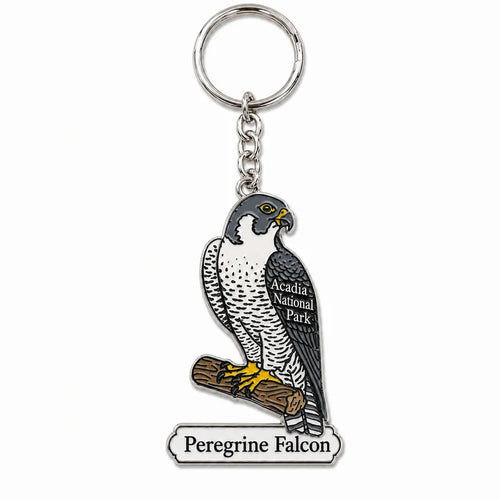 Acadia National Park Birds of Prey Acrylic Keychain