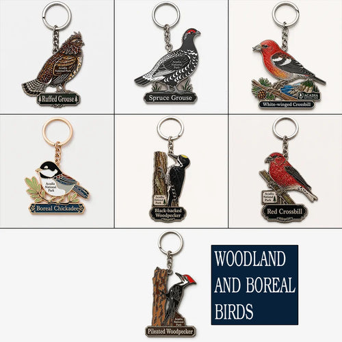 Acadia National Park Pileated Woodpecker Acrylic Keychain