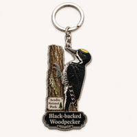Acadia National Park Pileated Woodpecker Acrylic Keychain