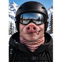 Realistic 3D Pig Face Funny Printed Ski Mask