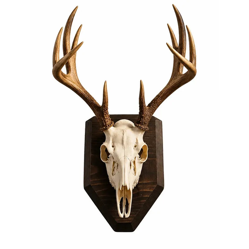 European Mount Deer Skull Wall Decor