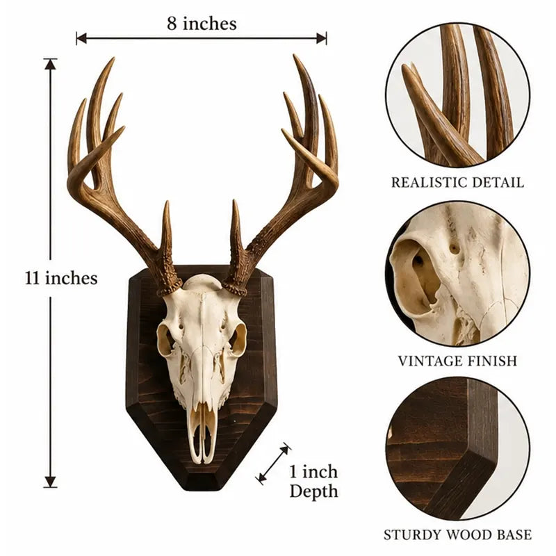 European Mount Deer Skull Wall Decor