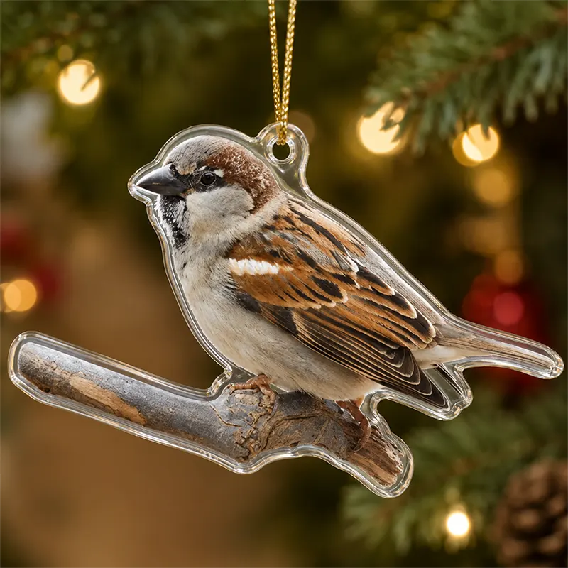 Bird Watching Bird Species Collection Christmas Ornament