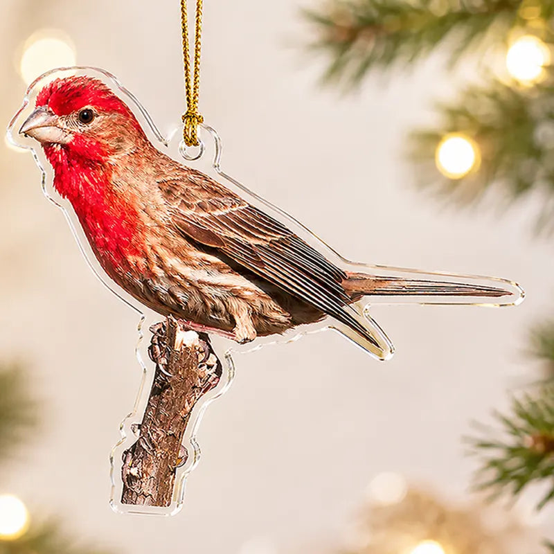 Bird Watching Bird Species Collection Christmas Ornament