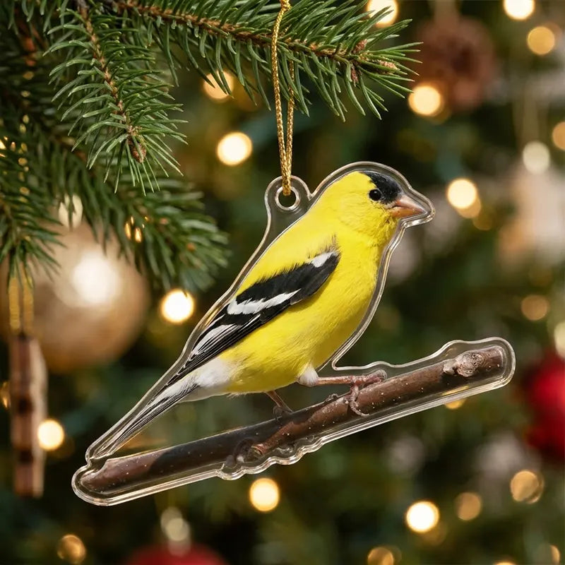 Bird Watching Bird Species Collection Christmas Ornament