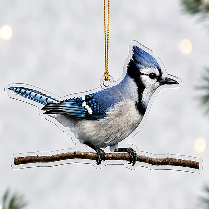 Bird Watching Bird Species Collection Christmas Ornament